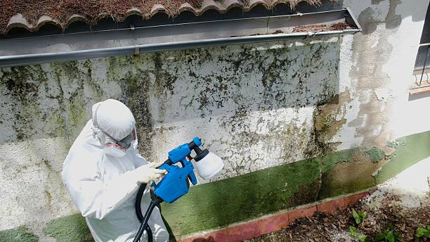 Trusted Mold Testing service in Aberdeen, NC - Cheap Mold Removal